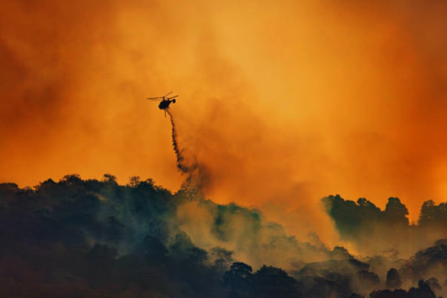El misterioso adiós de La Niña: lo que podría traer el clima en los próximos meses