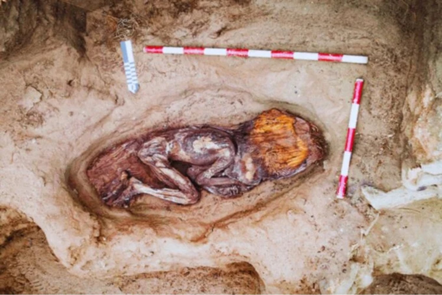 Hallan una tumba que podría reescribir la historia de América: ¿la Cleopatra que nadie esperaba?