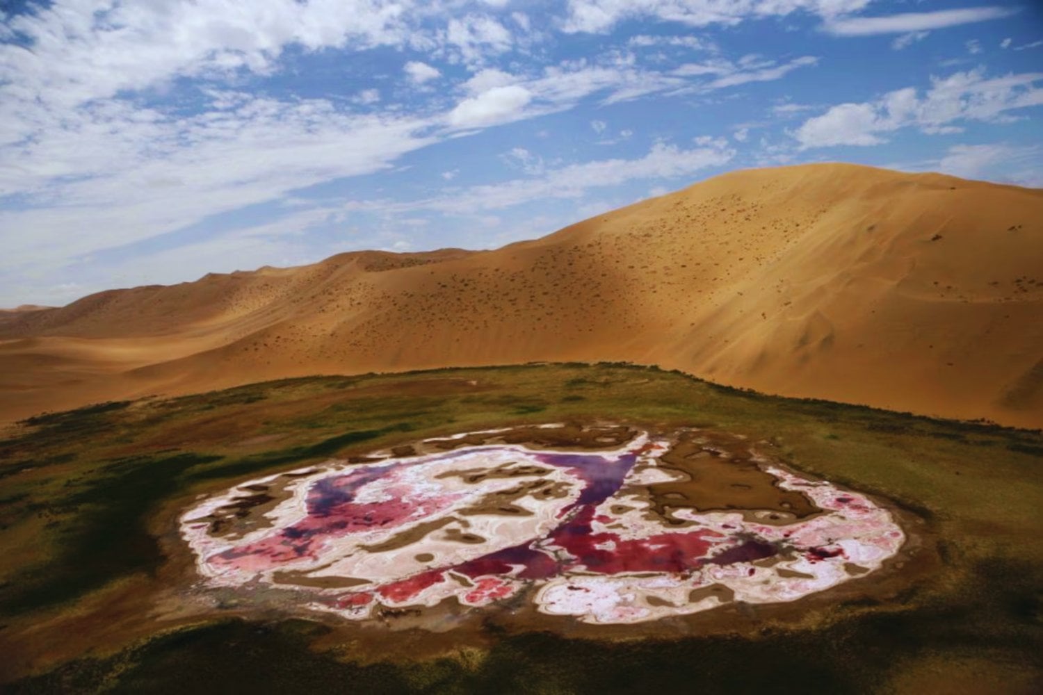 El bosque que detuvo al desierto: el plan secreto de China para reconquistar millones de hectáreas