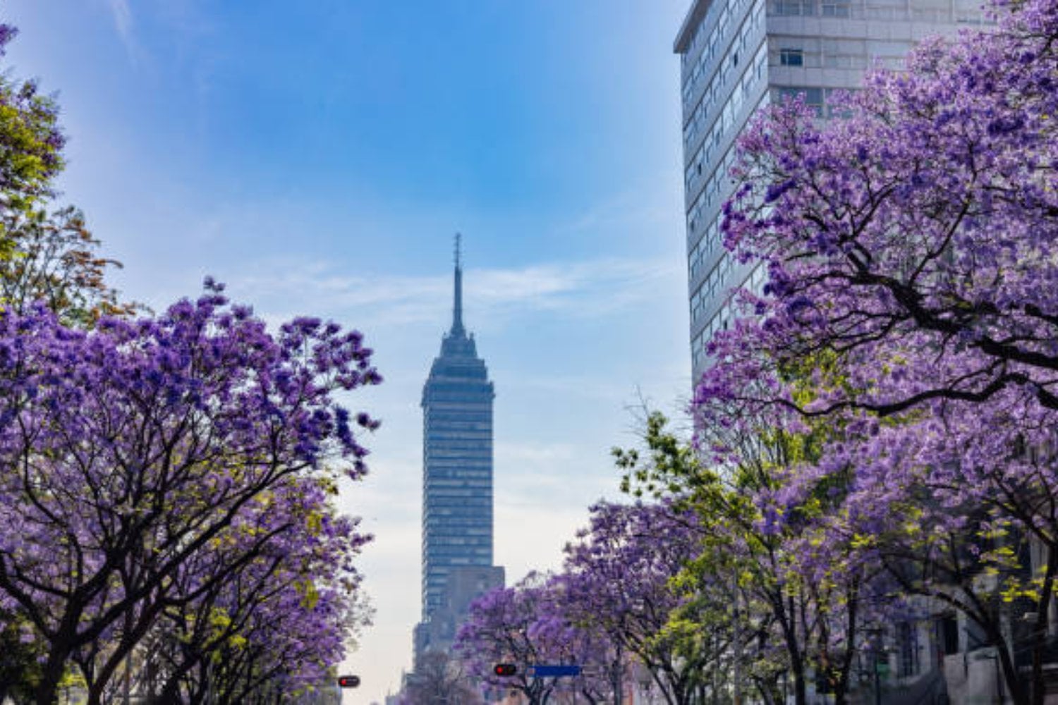 Ciudad de México, la ciudad latinoamericana superó a Pekín y está entre las más pobladas del planeta
