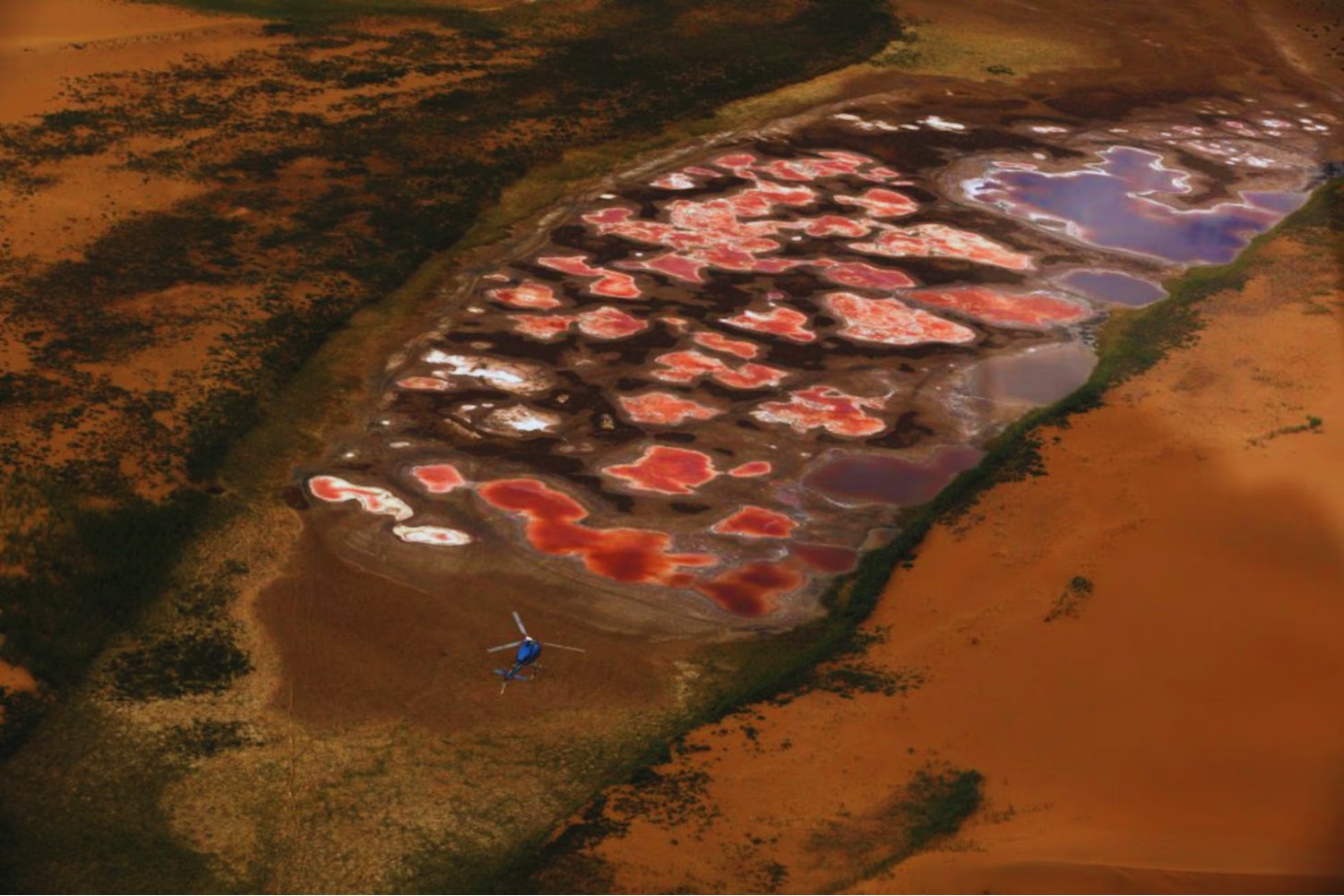 El bosque que detuvo al desierto: el plan secreto de China para reconquistar millones de hectáreas