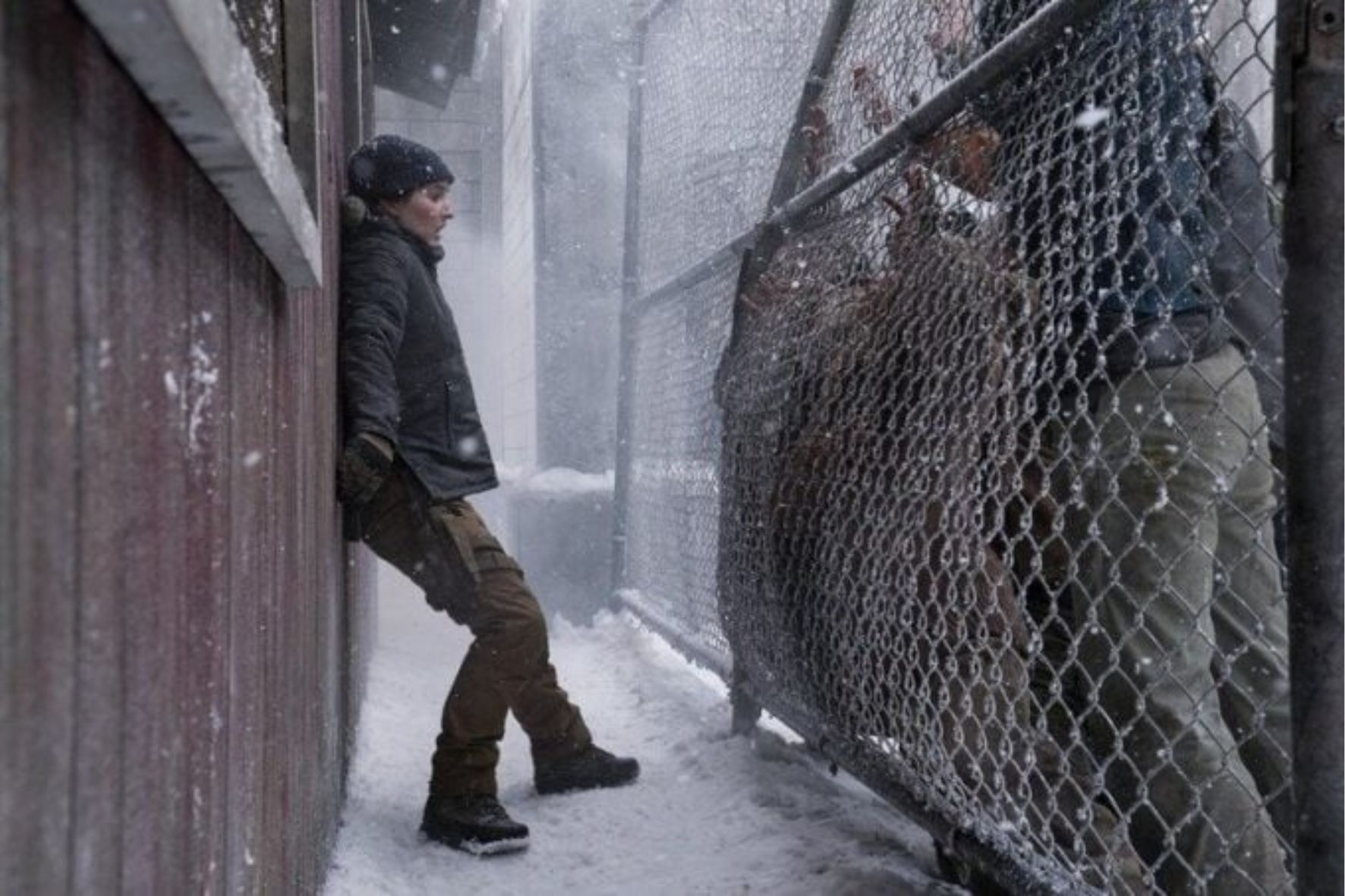 Diseño Sin Título (42)