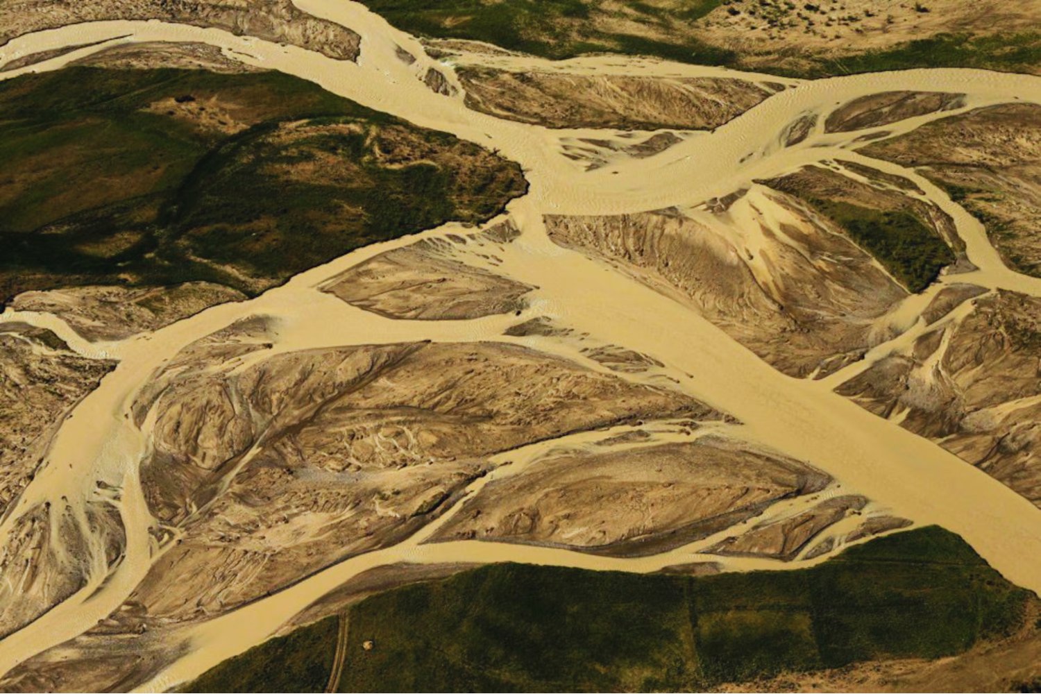 El bosque que detuvo al desierto: el plan secreto de China para reconquistar millones de hectáreas