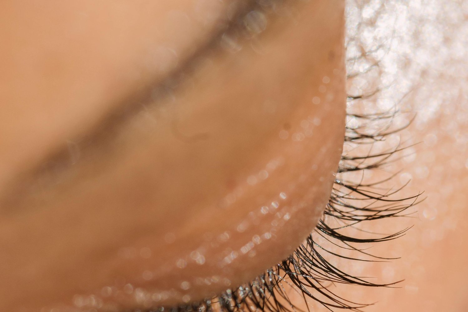 Qué son realmente esas “palpitaciones” en el ojo