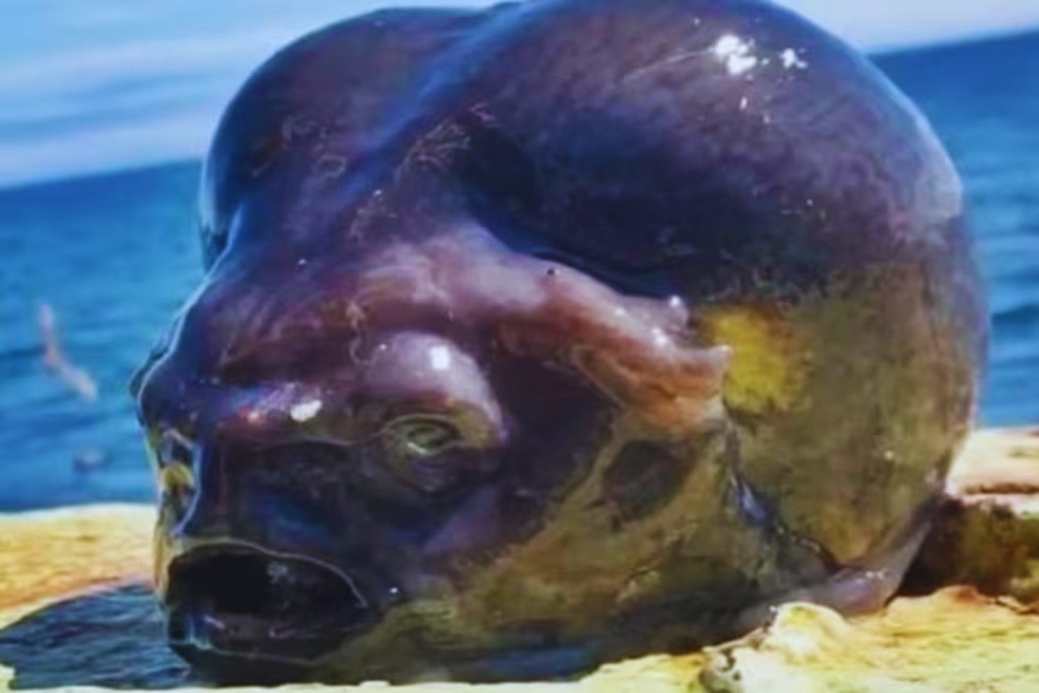 Un encuentro de otro mundo: pescador captura un pez con “cabeza de alien” en el Pacífico Norte