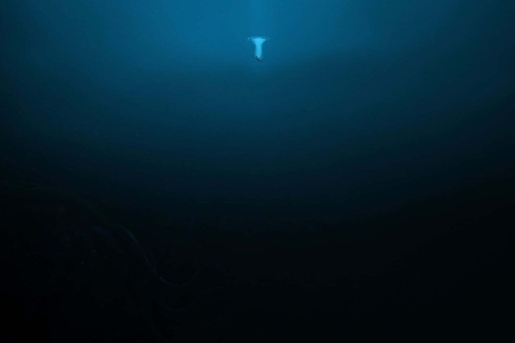 Lo que encontraron a 5.000 metros bajo el mar revela un peligro que hemos ignorado demasiado tiempo