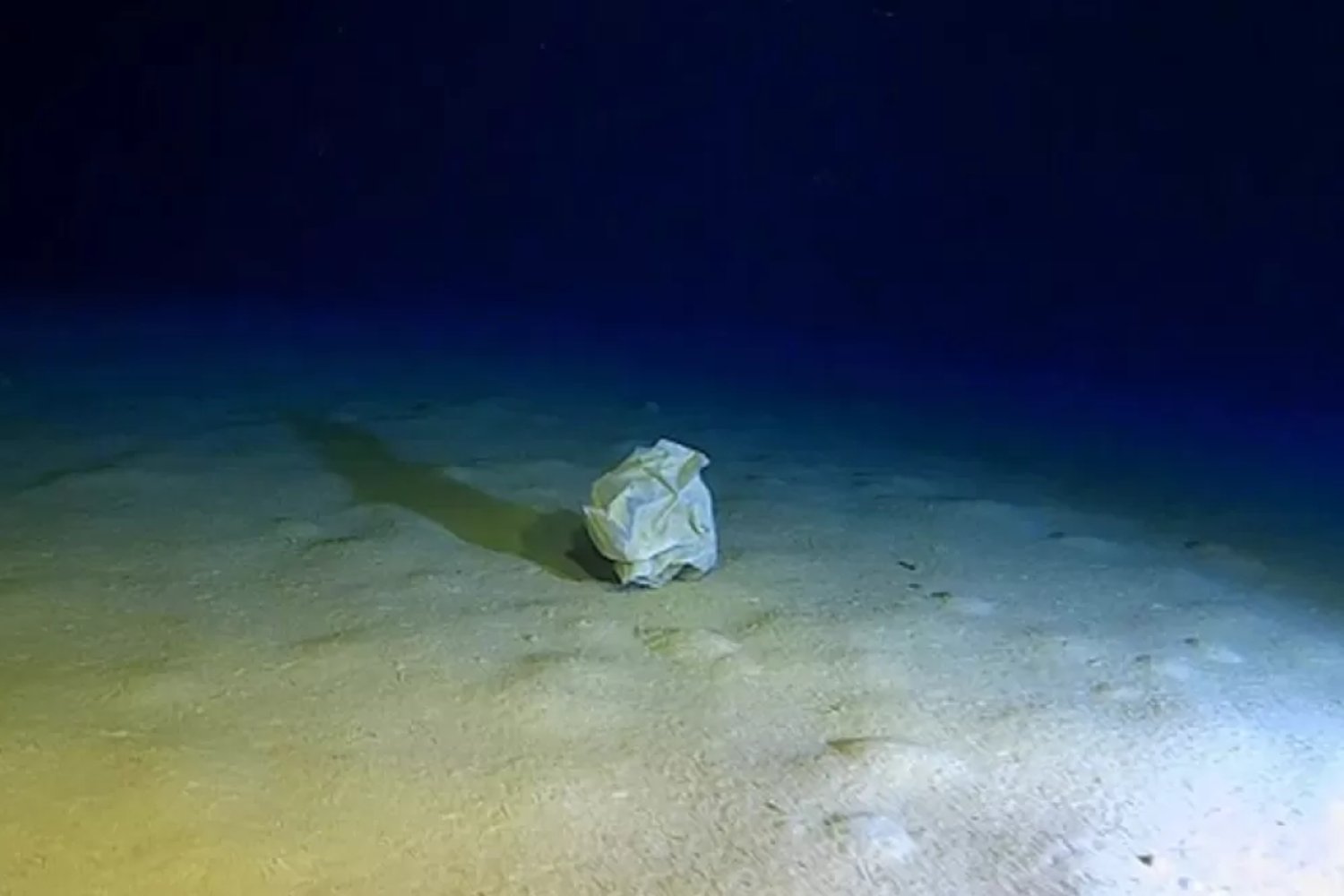 Lo que encontraron a 5.000 metros bajo el mar revela un peligro que hemos ignorado demasiado tiempo
