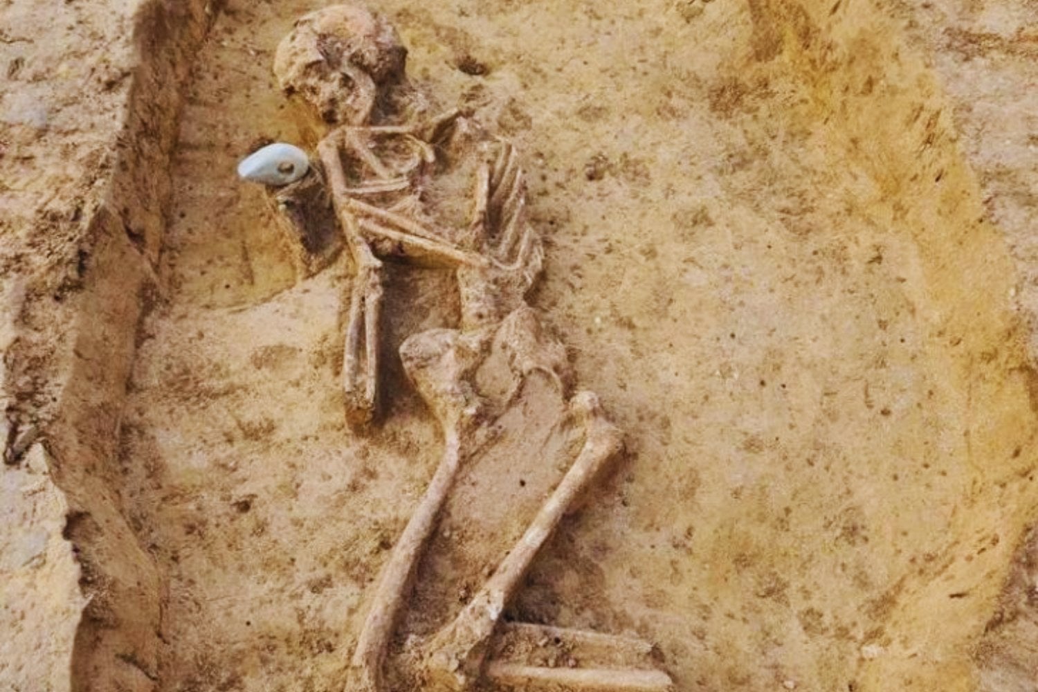 Una autopista reveló un secreto milenario que estuvo oculto bajo tierra durante 4000 años
