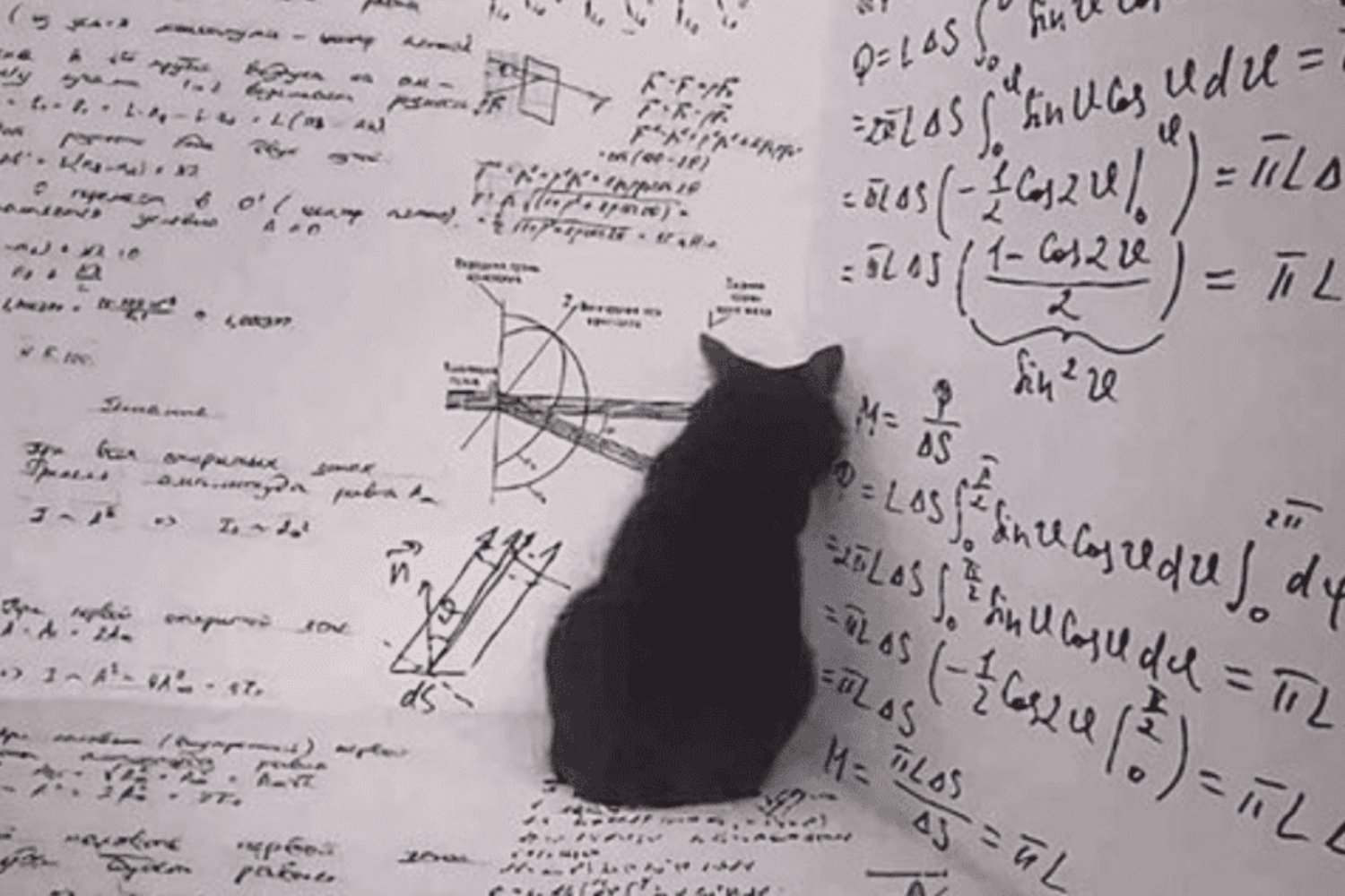El gato de Schrödinger ya no necesita congelarse: el experimento que desafía las reglas cuánticas