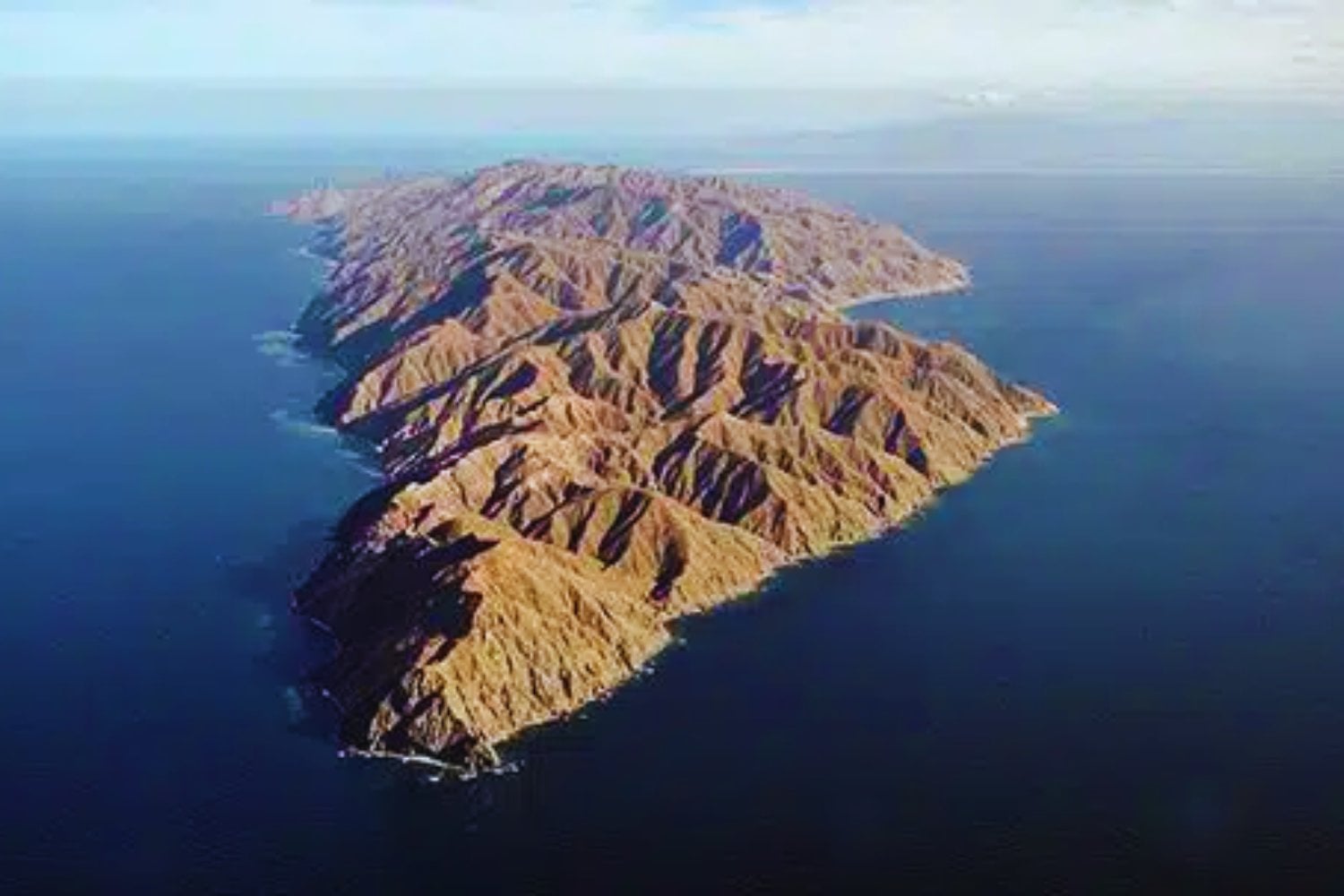 En venta por 115 millones: la misteriosa oferta de una isla protegida en Baja California Sur