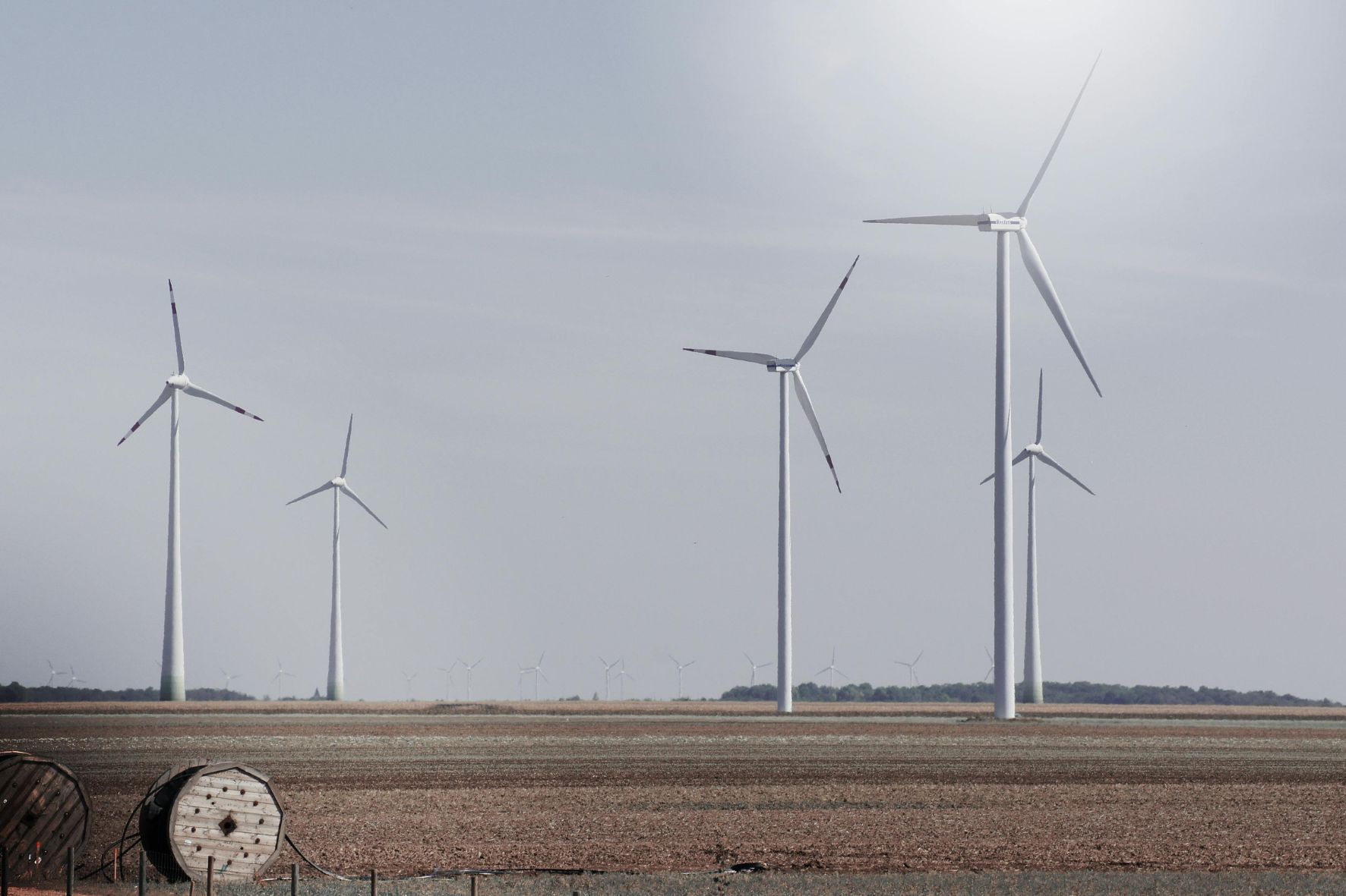 Diseño Sin Título (59)