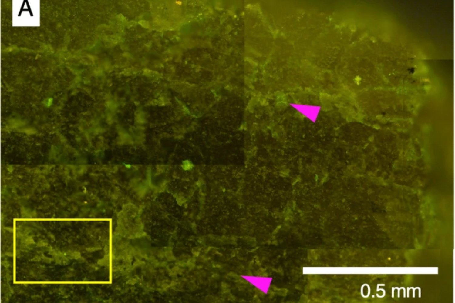 Un hallazgo milenario bajo tierra: descubren vida microbiana en una roca de 2.000 millones de años