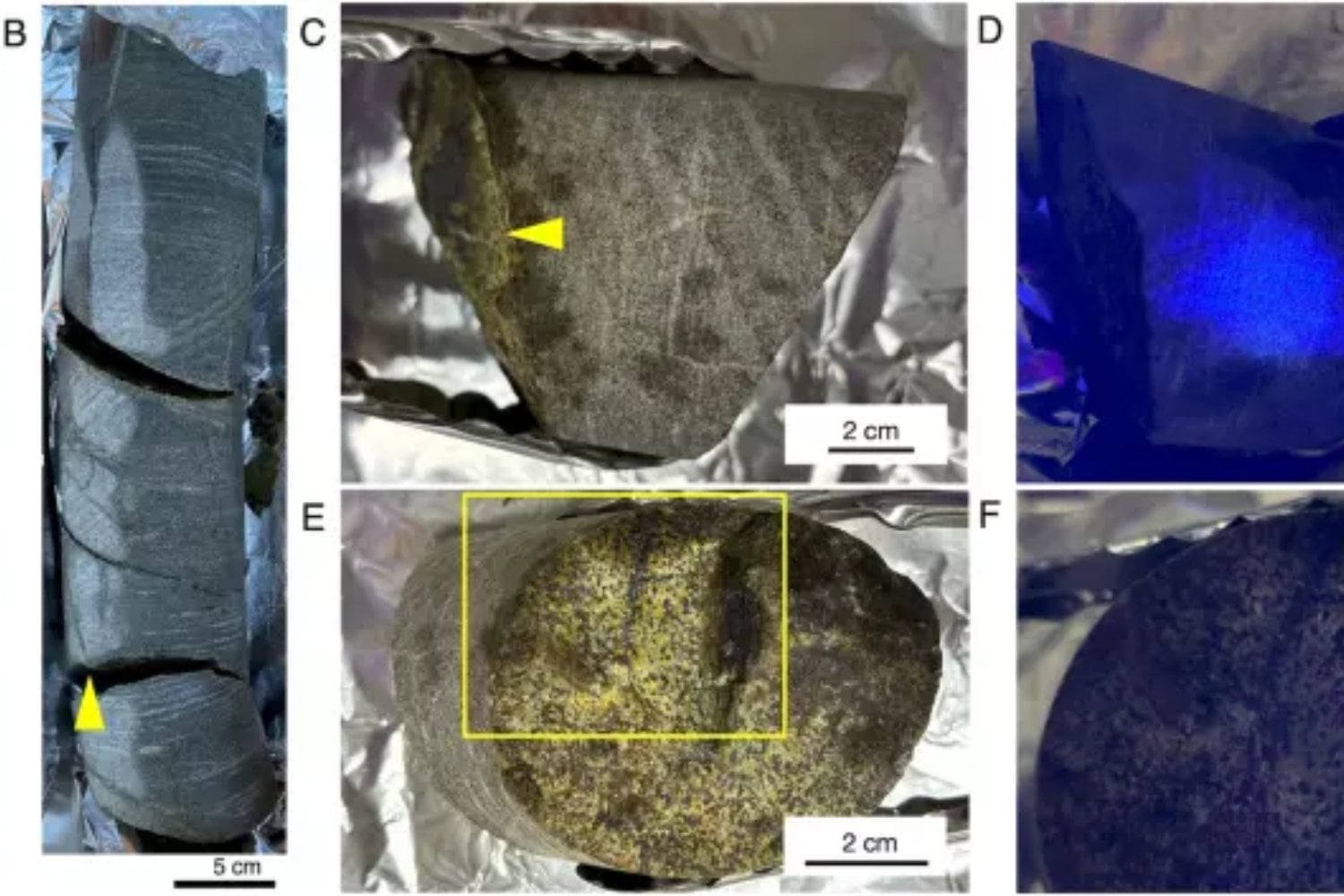 Un hallazgo milenario bajo tierra: descubren vida microbiana en una roca de 2.000 millones de años