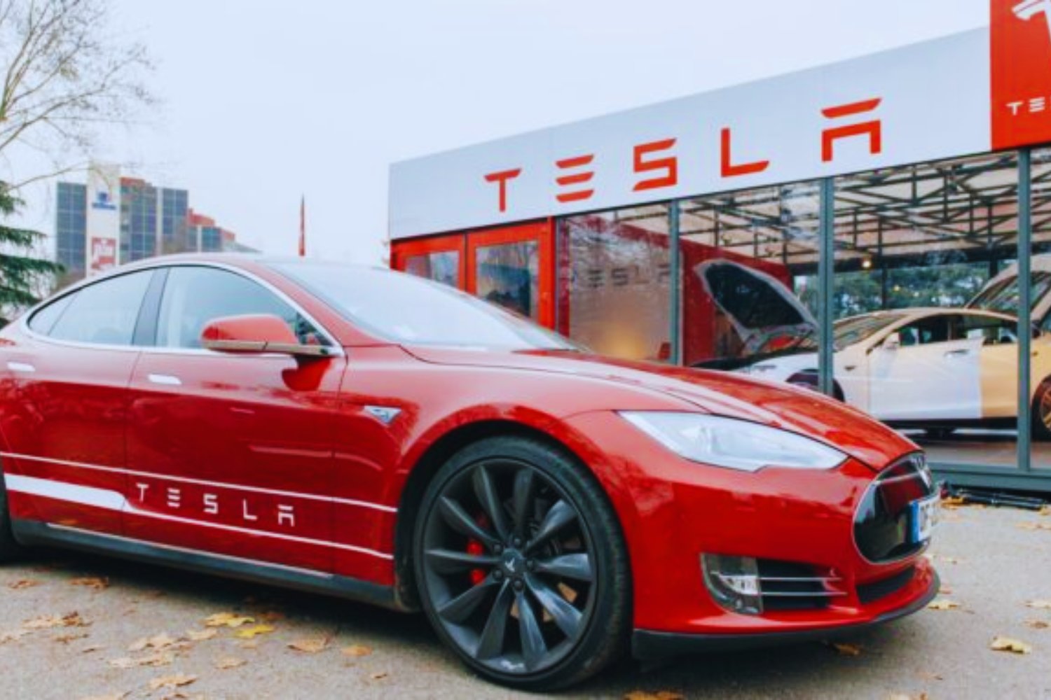 Musk, los despidos secretos y el futuro incierto de Tesla: lo que nadie te cuenta