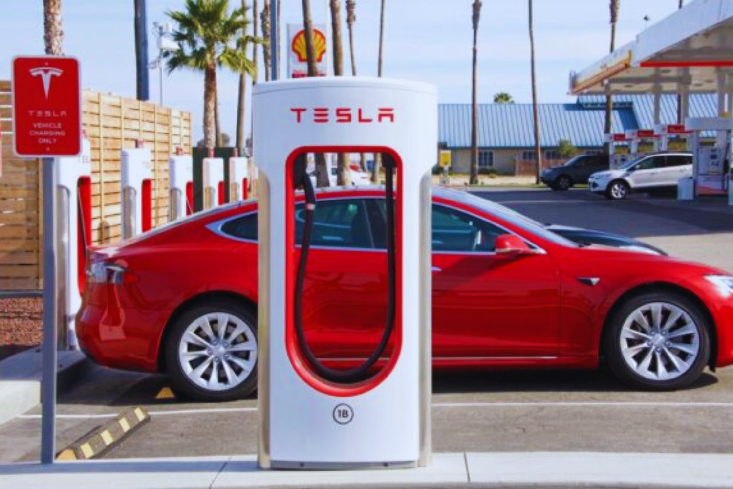 Musk, los despidos secretos y el futuro incierto de Tesla: lo que nadie te cuenta