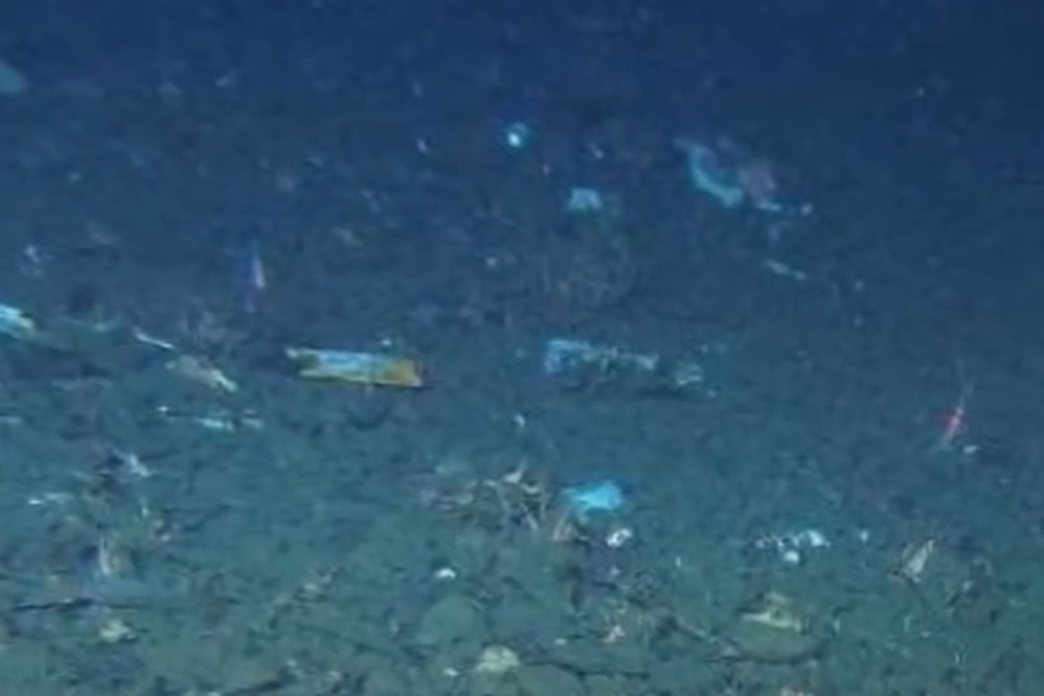 Diseño Sin Título (73)