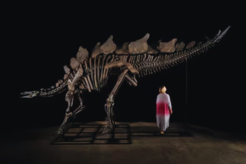Lo que los millonarios no quieren que sepas sobre los fósiles de T. rex