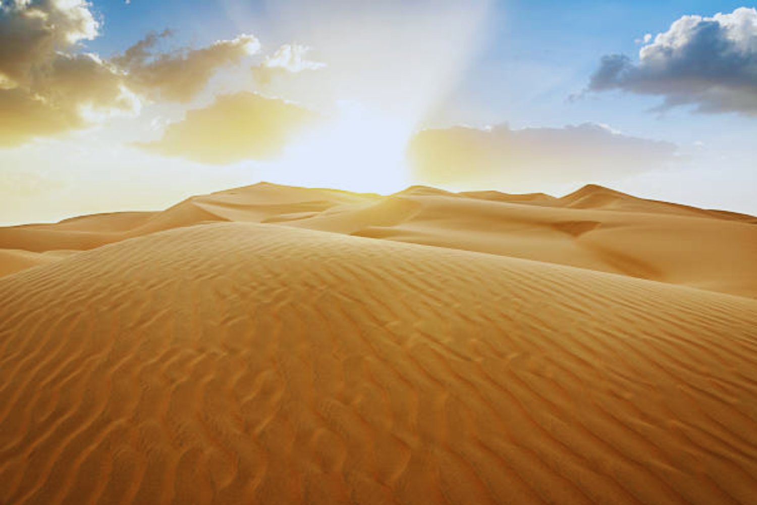 El misterio bajo la arena: lo que descubrieron en el desierto más inhóspito del planeta