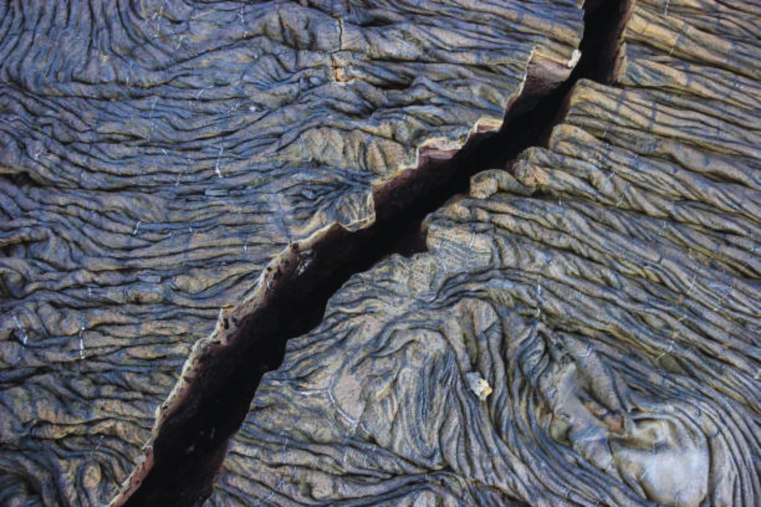 El fenómeno oculto bajo la Tierra que permitió a los humanos conquistar el mundo