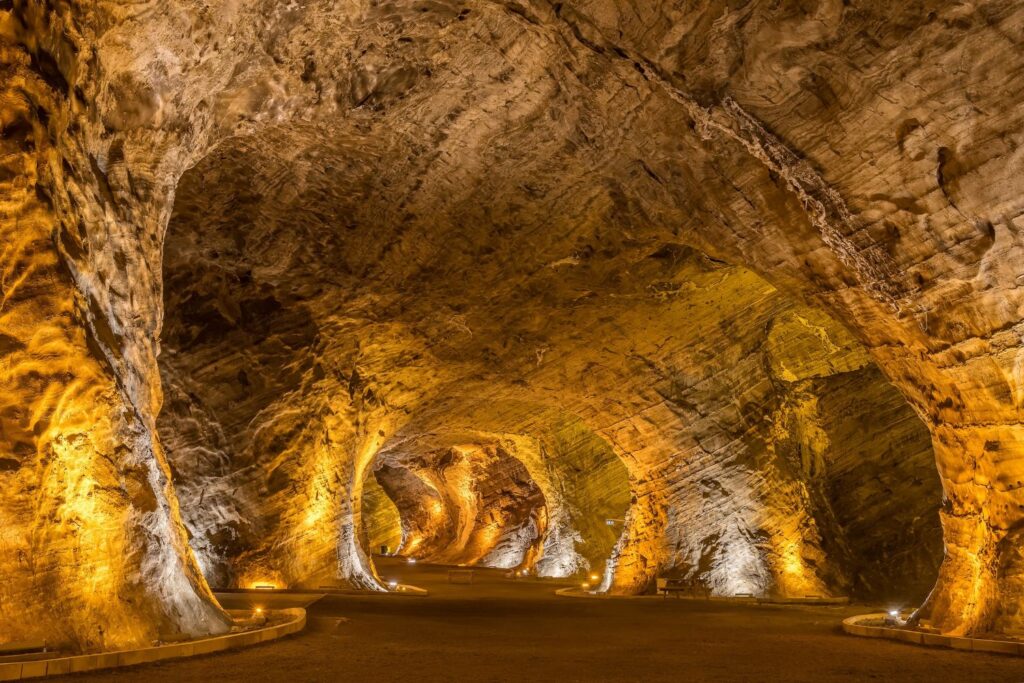 Diseño Sin Título (87)