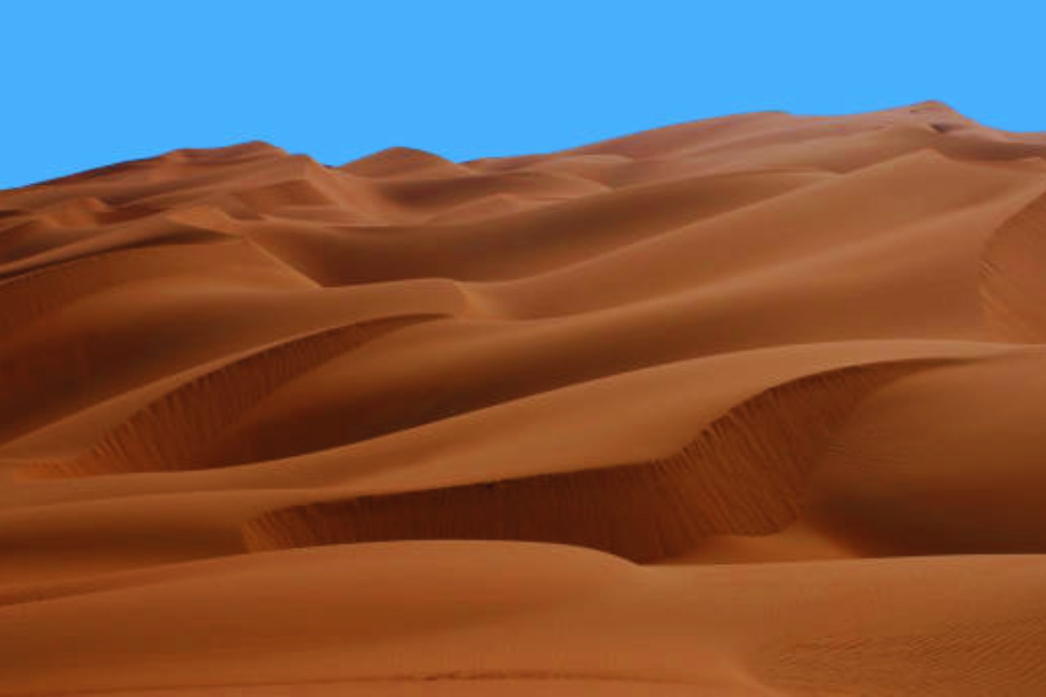 El misterio bajo la arena: lo que descubrieron en el desierto más inhóspito del planeta