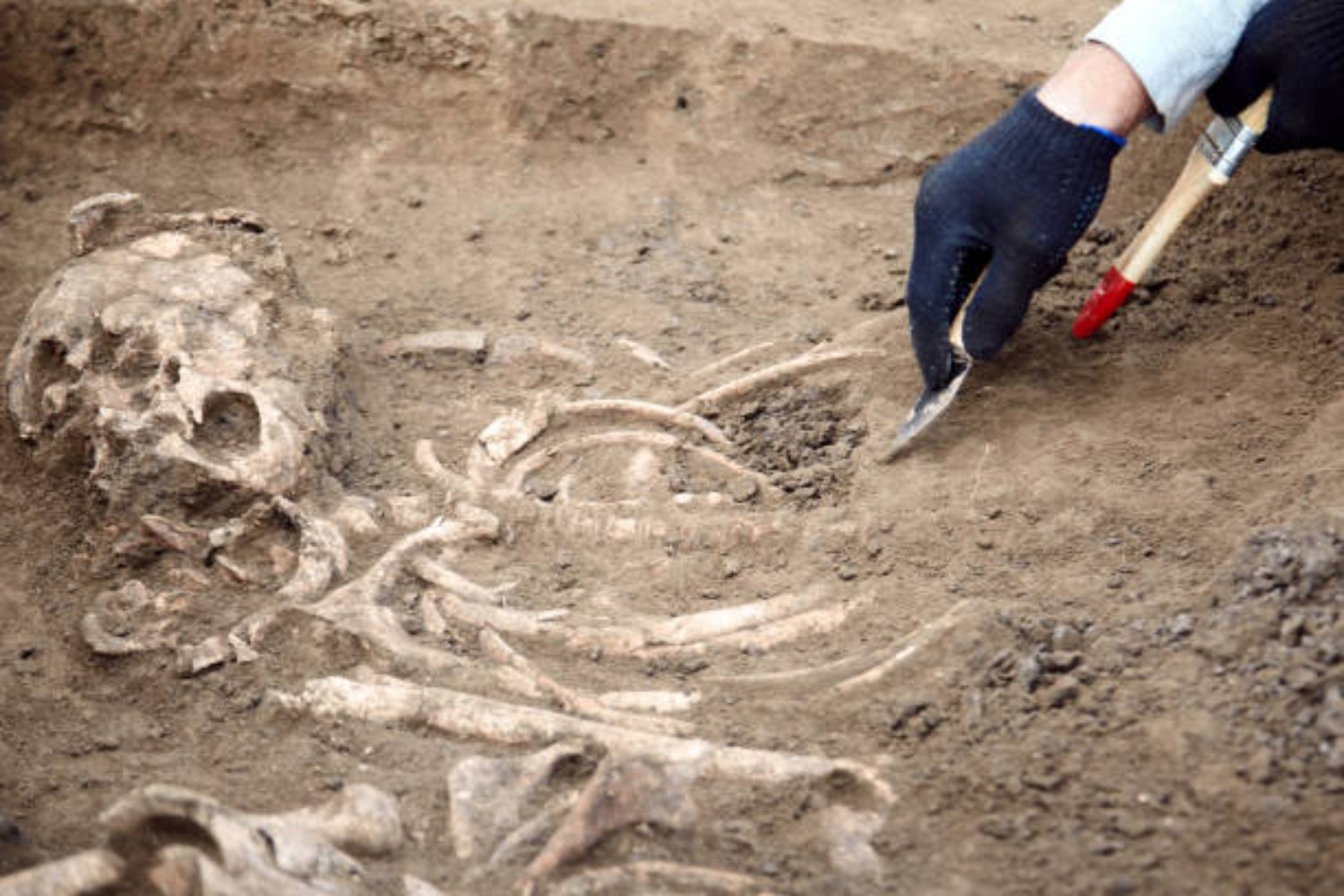 El rostro perdido de Europa: el misterioso ancestro que reescribe la historia humana