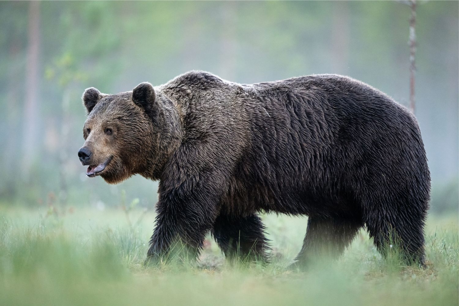 Diseño Sin Título (95)