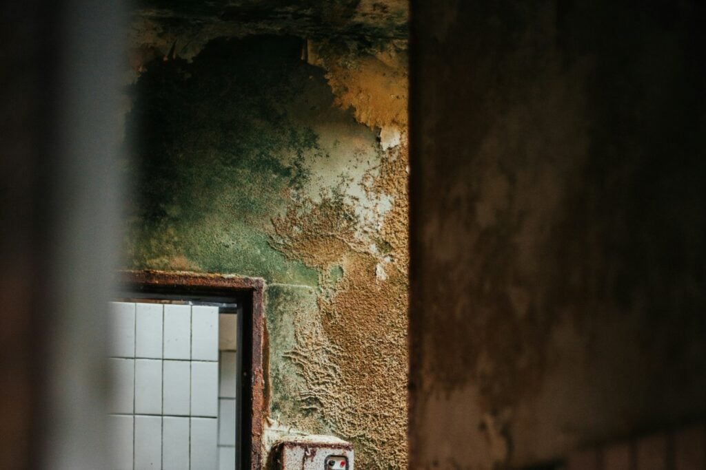 Como Limpiar El Moho Y El Verdin