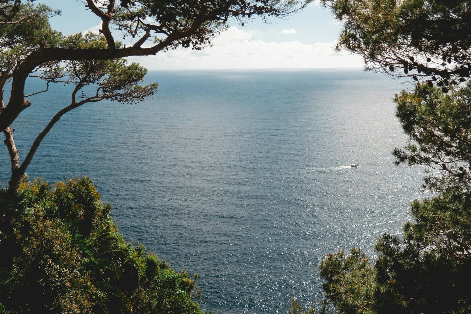 Descubrimiento En Malta