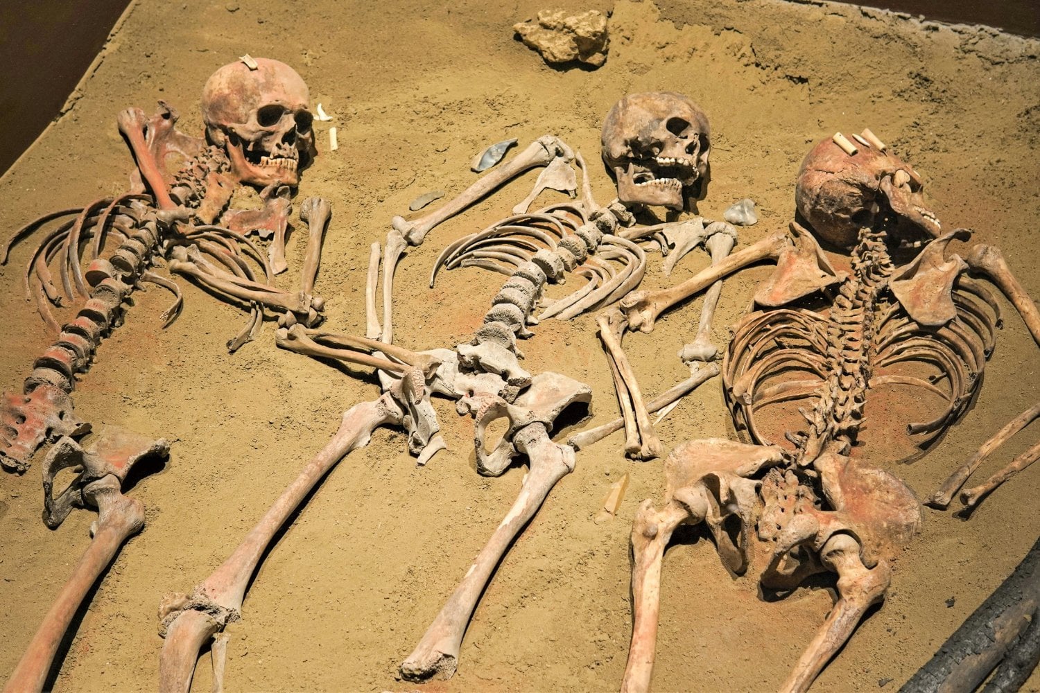 Descubrimiento En Sudafrica Homo Naledi Rituales Funerarios