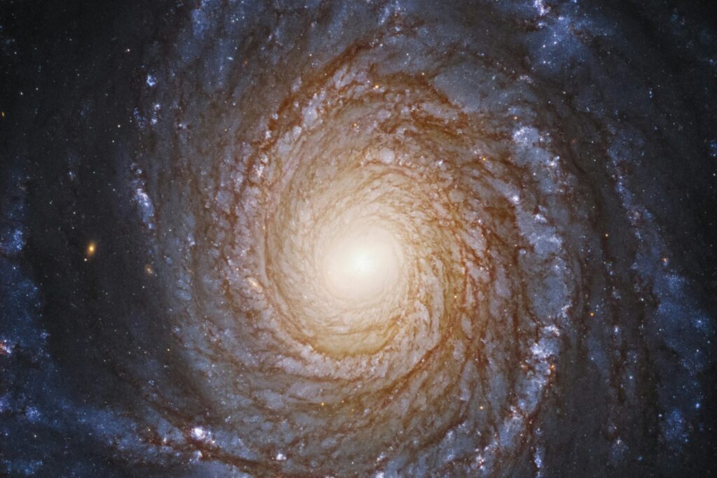 Despertar De Un Agujero Negro Supermasivo