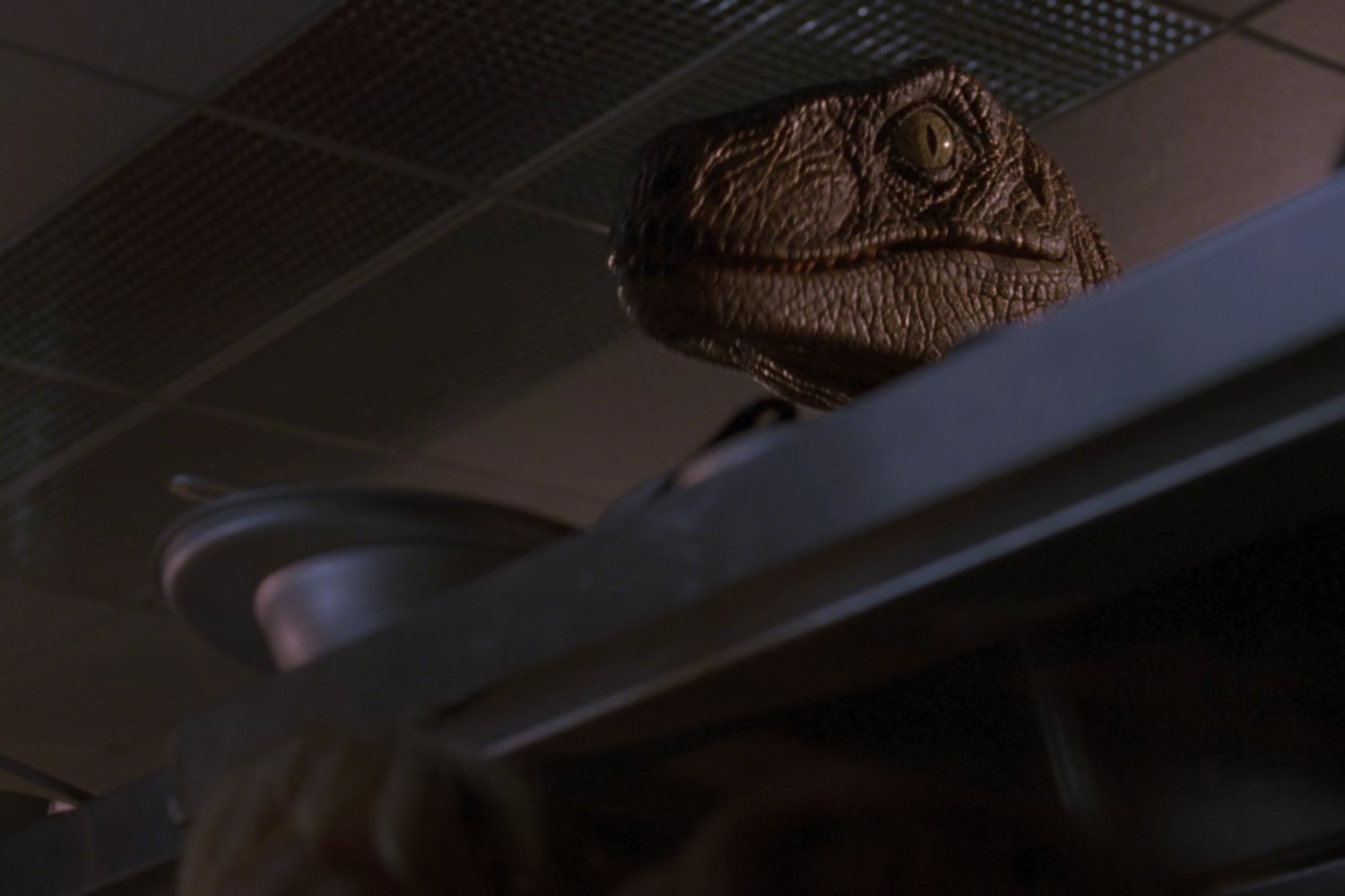 Dinosaruios De Jurassic Park Corregidos