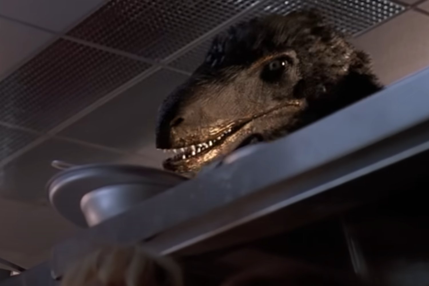 Dinosaruios De Jurassic Park Corregidos