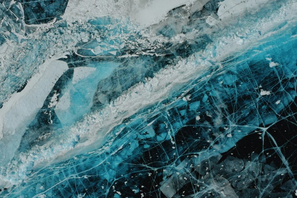 El Animal Mas Longevo Secreto Para Vivir Mas