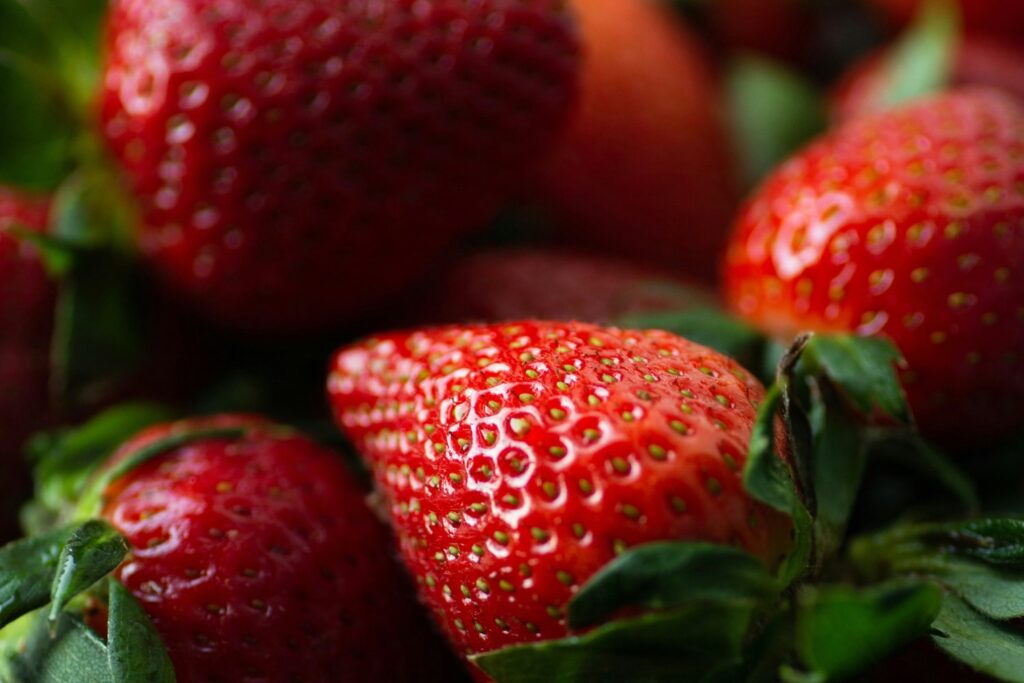 Fresas