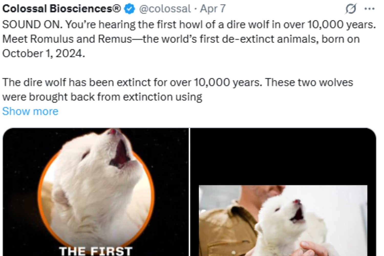 La Desextincion Del Lobo Huargo