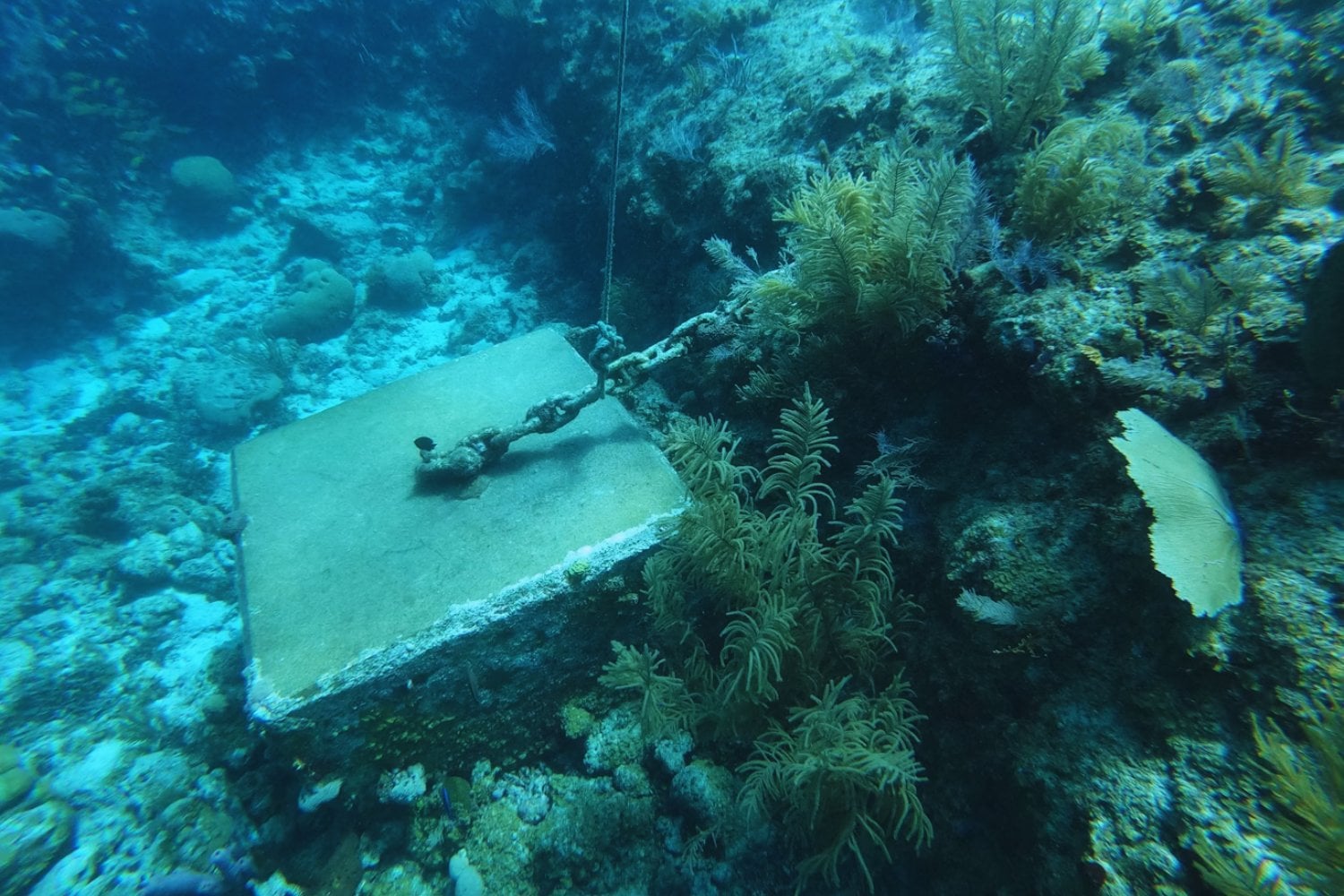 Encuentran un “gigante dormido” en el fondo del mar: el tesoro que podría reescribir la historia