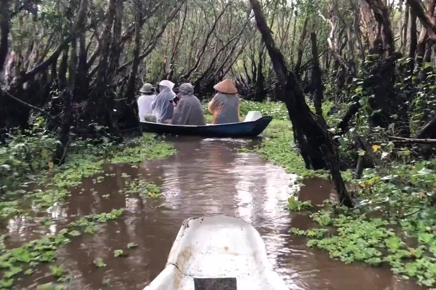 El corazón oculto del Mekong: lo que estamos perdiendo y por qué aún hay esperanza