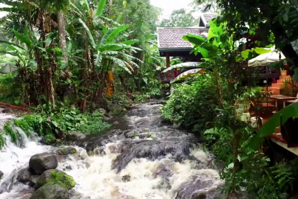 El corazón oculto del Mekong: lo que estamos perdiendo y por qué aún hay esperanza