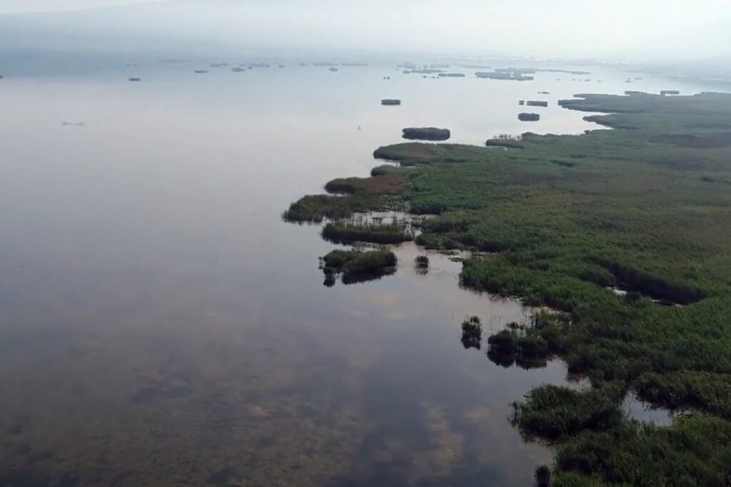 El enemigo bajo nuestros pies: el fenómeno invisible que ya afecta a millones en España
