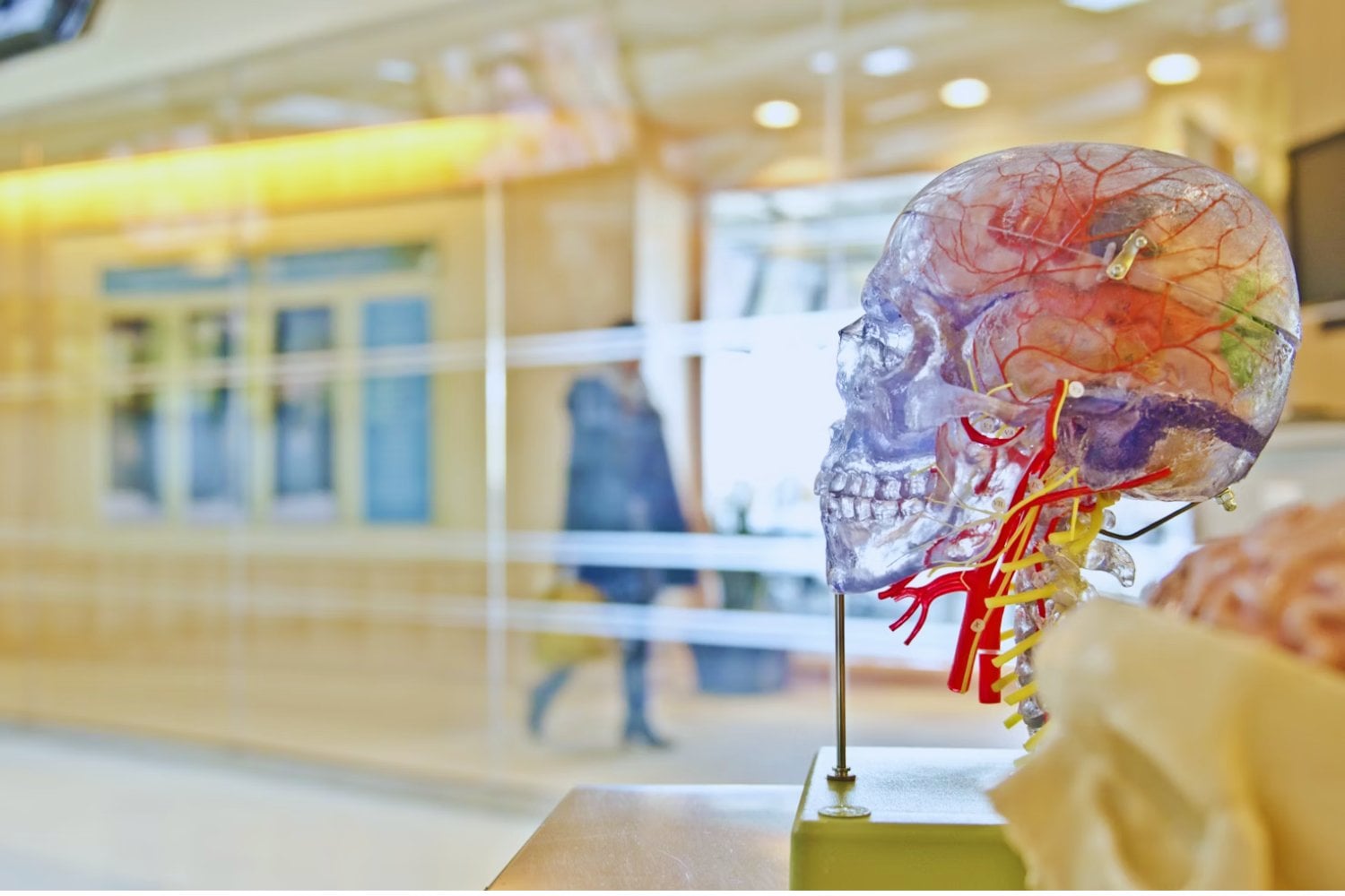 Lo que ocurre en tu cerebro tras dos horas de silencio al día podría cambiarlo todo