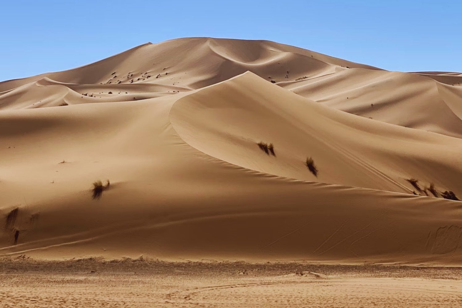 El misterio blanco en la cima del Sahara: una imagen de la NASA revela lo que nadie esperaba sobre un volcán extinto