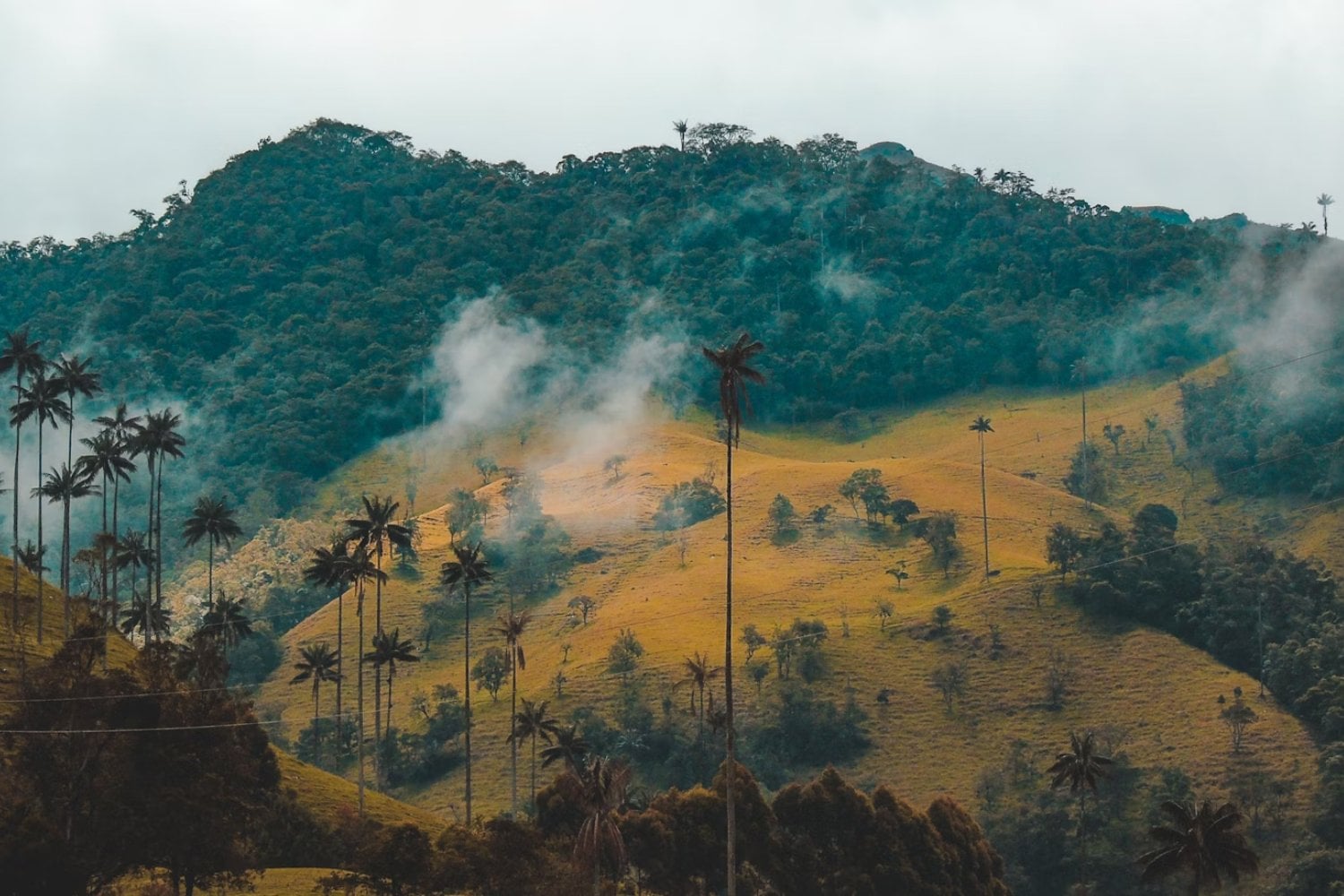 Colombia, Uno de los países más bellos del mundo está en Sudamérica (y no es el que imaginas)