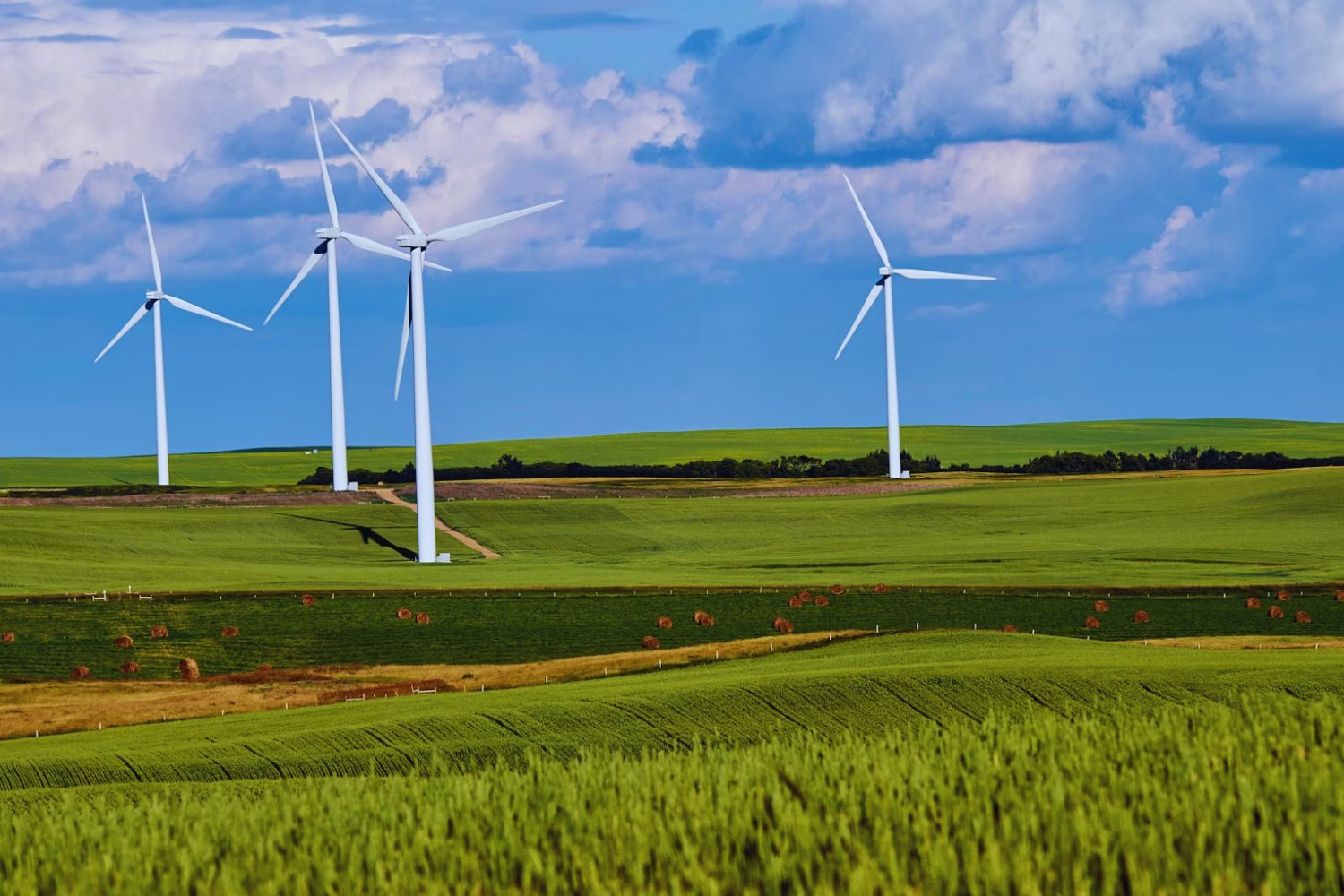 El problema invisible del viento: cómo un fenómeno natural está generando tensiones globales en la energía renovable