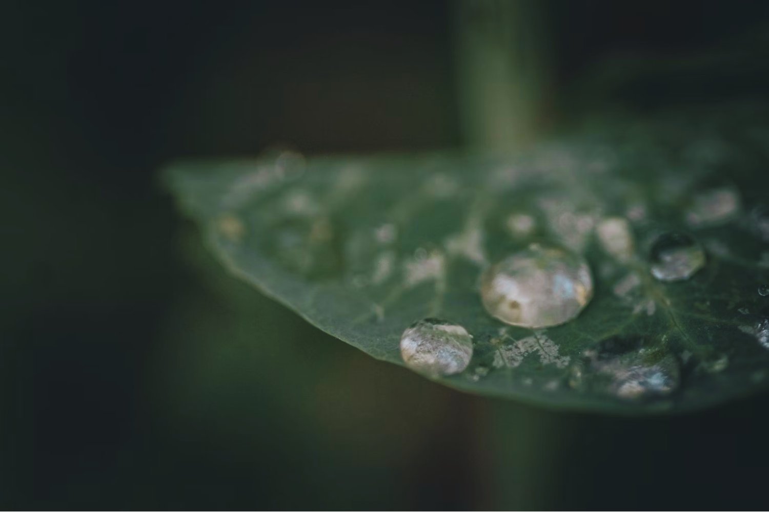 Lluvias de diamantes en la Tierra: el experimento que podría cambiar la forma en que obtenemos gemas