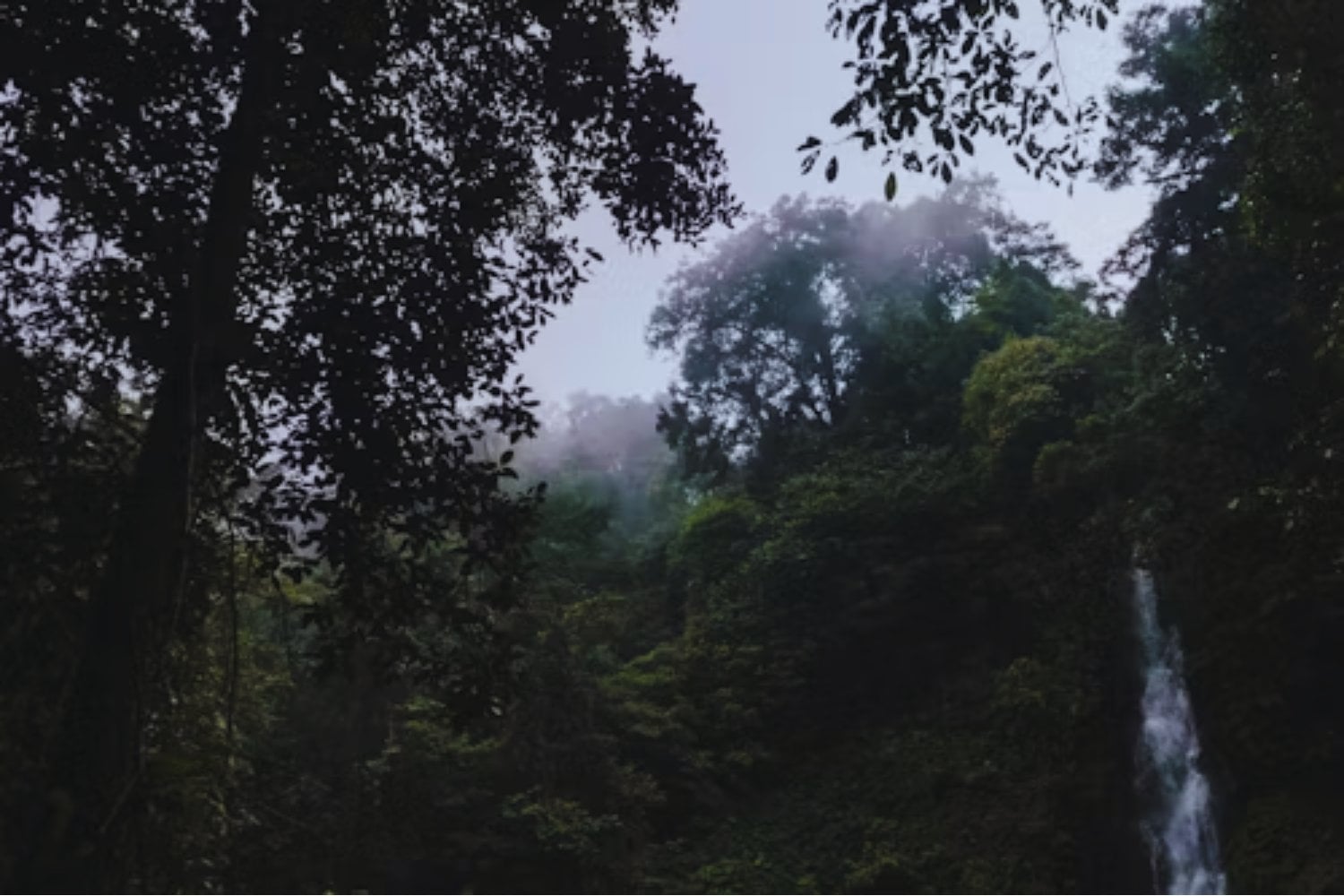 El secreto enterrado en la selva: lo que descubrieron los arqueólogos en la cueva más temida de los mayas