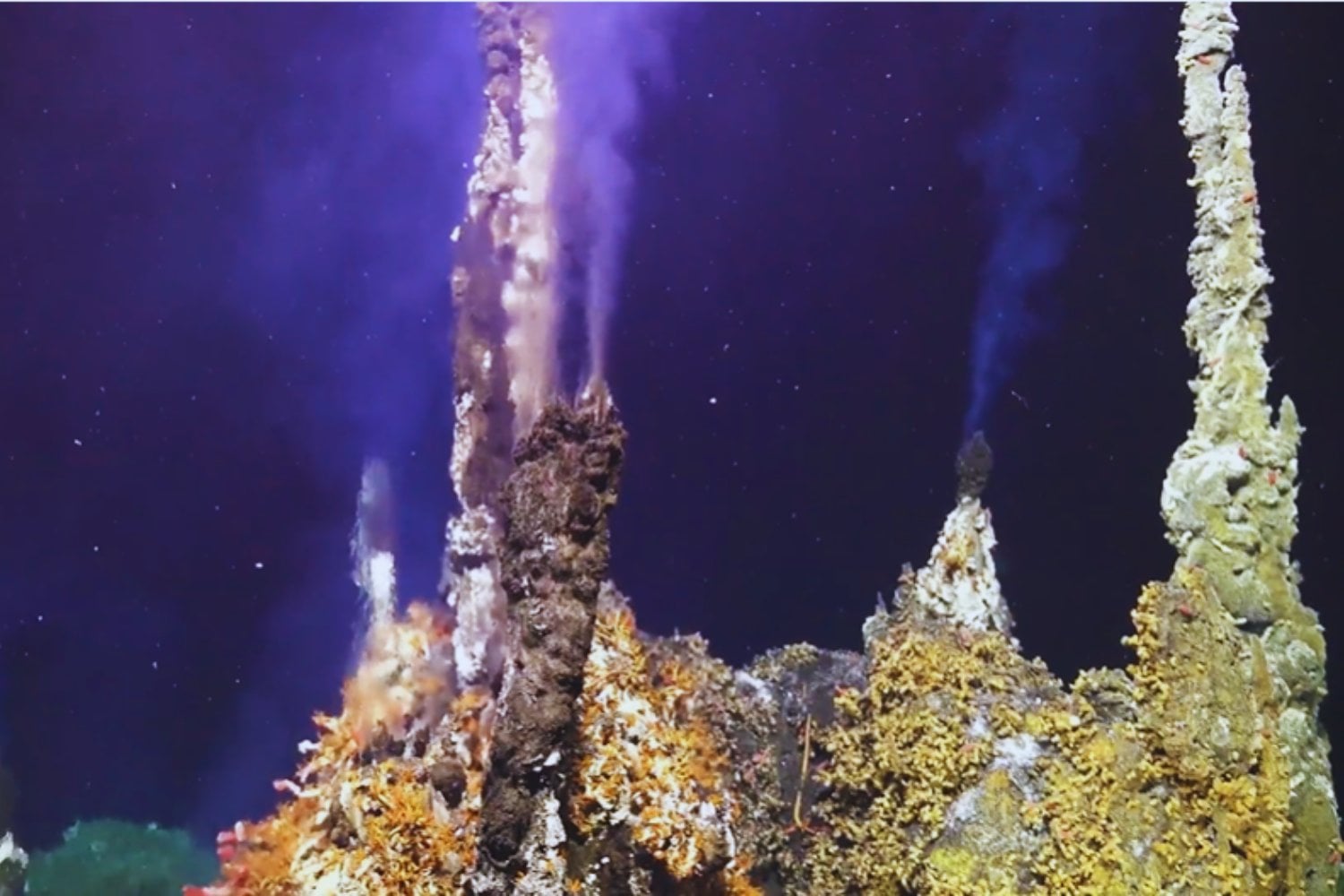 Un gigante bajo el mar amenaza con despertar frente a EE.UU. (y podríamos verlo en vivo)