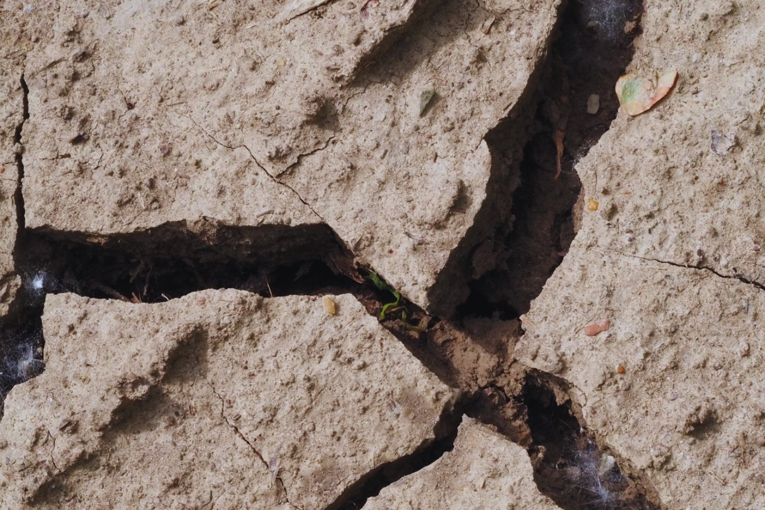 Un continente en movimiento: la grieta que podría dividir África y dar origen a un nuevo océano