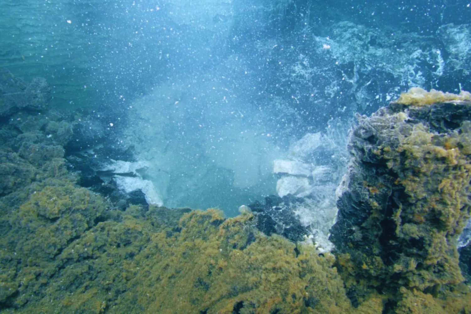 Un gigante bajo el mar amenaza con despertar frente a EE.UU. (y podríamos verlo en vivo)