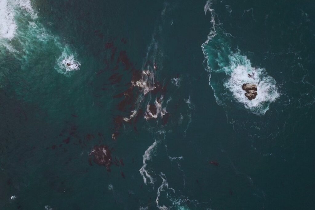La amenaza silenciosa bajo el mar: operaciones encubiertas que sacuden a Europa